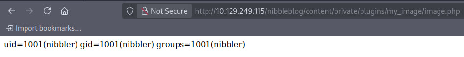 system('id') returned nibbler user