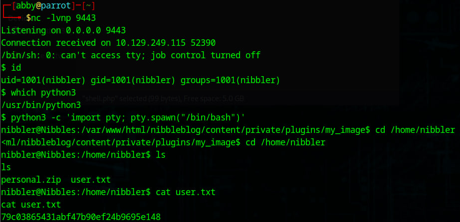 Shell caught on port 9443 and user flag read