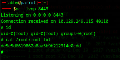 cat /root/root.txt