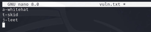 Vuln.txt Content