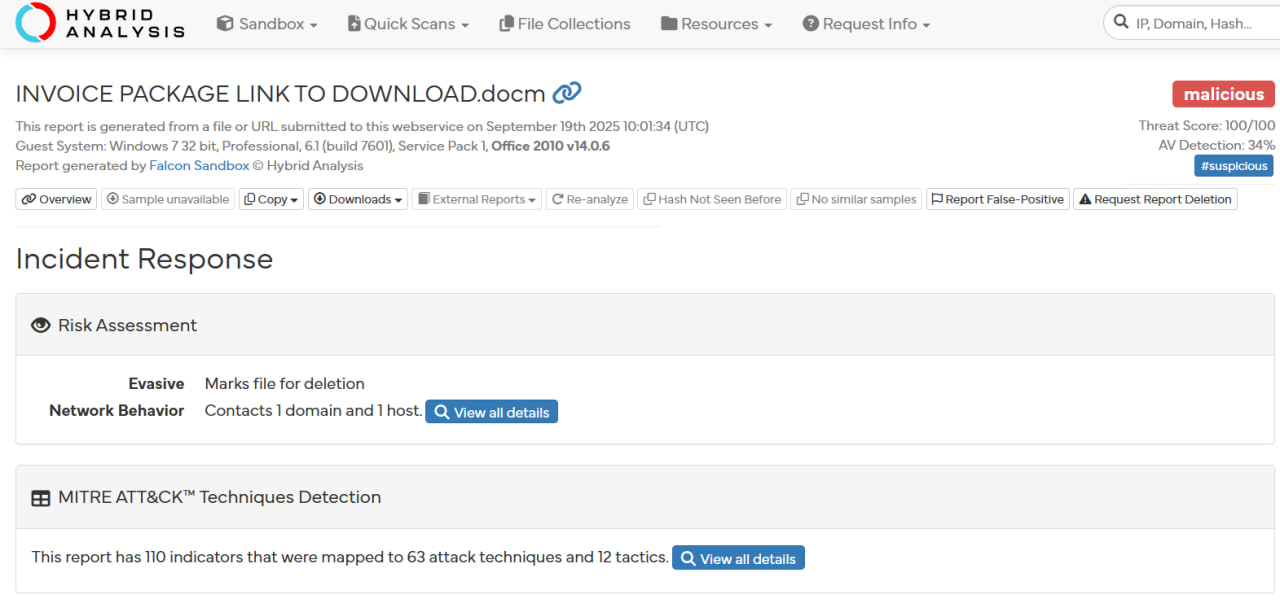 Hybrid Analysis Result