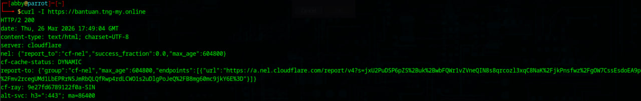 curl Headers Revealing Cloudflare