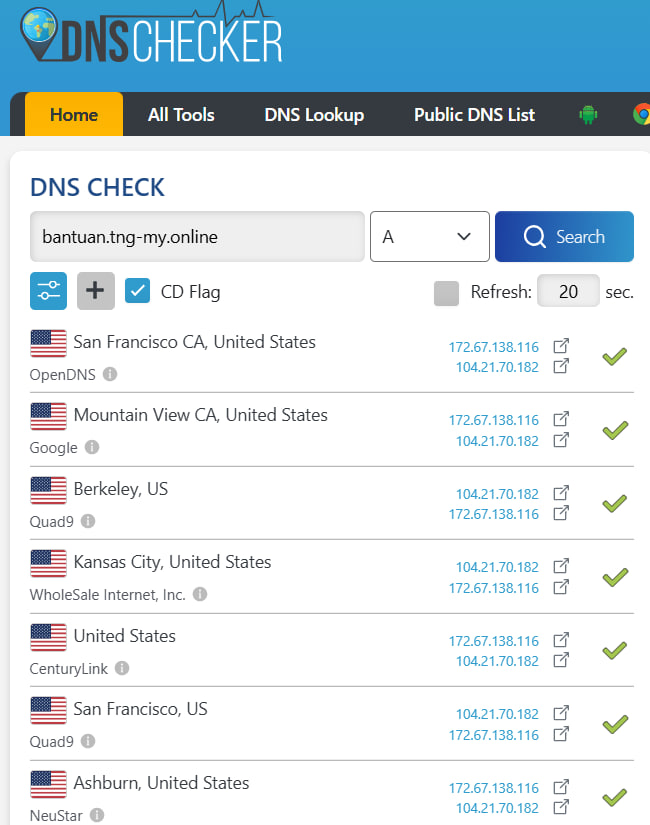 DNS Checker Resolution Results